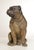 Mid 19th Century TERRA COTTA SITTING PUG DOG STATUE ATTRIBUTED TO GOLDSCHEIDER For Sale - Image 5 of 12