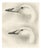 After Lilian Medland, Heads of the Wild Swans, 1909, Print For Sale