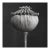 Poppy Pod Head No. 3 - Black and White Botanical Floral Photograph Print | Karl Blossfeldt | Unframed For Sale