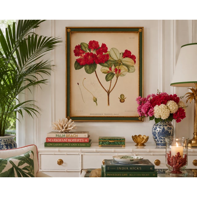 An exceptional, investment-grade original 1849 first-edition hand-colored folio lithograph titled "Rhododendron Thomsoni,...