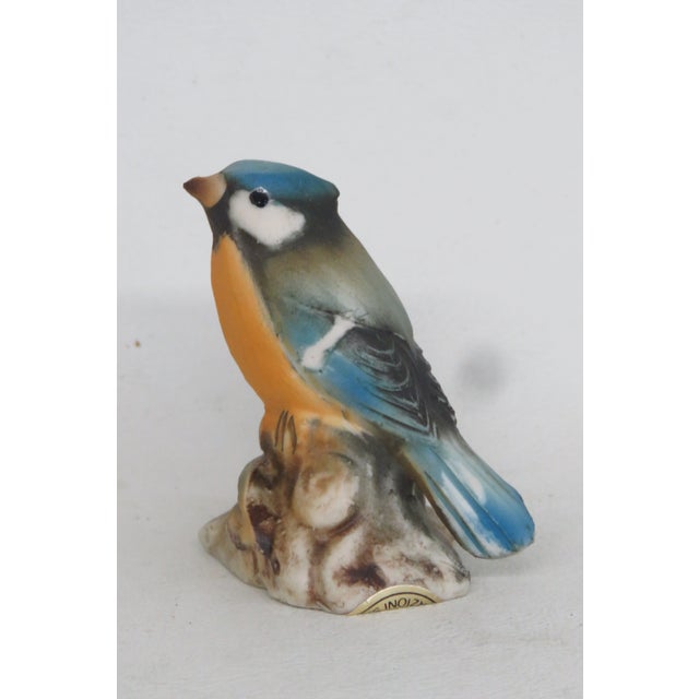 Mid 20th Century Capodimonte Savastano Eurasian Blue Tit Ceramic Figurine Bird on a Branch 4496b For Sale - Image 5 of 17