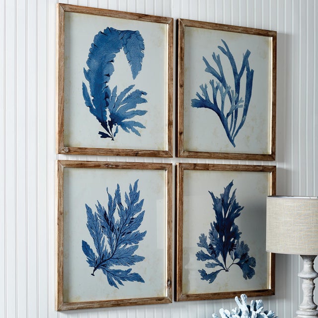 Coastal Framed Coral Watercolor Prints, Set Of 4 For Sale - Image 3 of 6