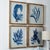 Coastal Framed Coral Watercolor Prints, Set Of 4 For Sale - Image 3 of 6