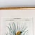 Antique "Conifères" Framed Botanical Etched Illustration, 1800's French Pine Tree Art For Sale - Image 10 of 14
