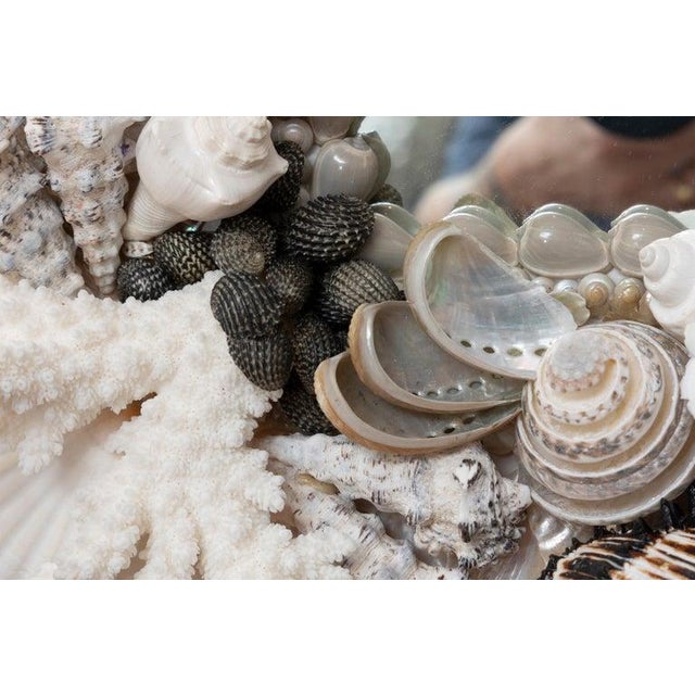 Glass Custom Organic Shell Mirror For Sale - Image 7 of 8