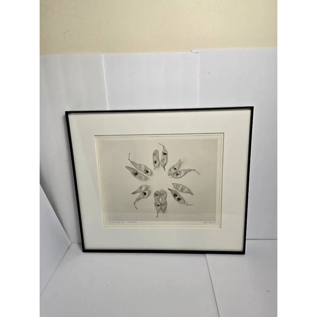 Contemporary Late 20th Century Bill Pusztai Signed Limited Edition "Seattle Japanese Garden" Photograph & "Black Locust" Botanical Print - Framed Pair For Sale - Image 3 of 16