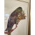 Offered is an extra large matted and framed parrot wall art. This piece is signed by the artist and numbered at the...