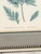 Antique Framed Fern Print For Sale - Image 4 of 7