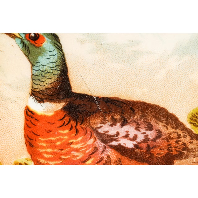 Charming Antique Pheasant Plate Hand Painted Bavaria Porcelain Hunting Lodge Wall Home Decor For Sale In New York - Image 6 of 15