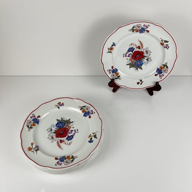 Ceramic Vintage Agreste Dinner Plates from Sarreguemines, 1980s, Set of 6 For Sale - Image 7 of 14
