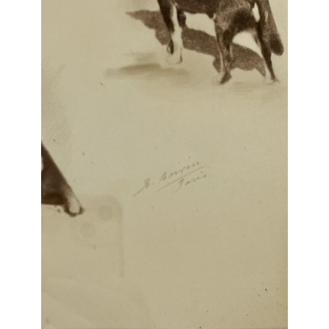 Wood Antique Parisian Gilt Wood Framed Dog Portrait For Sale - Image 7 of 12