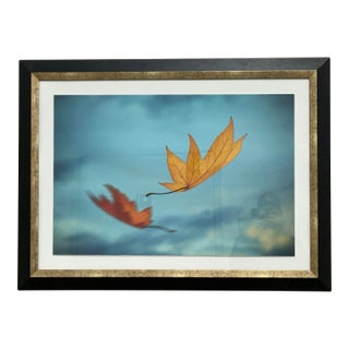 Thom Filicia for Soicher Marin Leaves in Motion Print, Framed For Sale