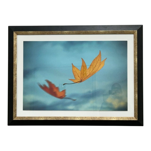 Thom Filicia for Soicher Marin Leaves in Motion Print, Framed For Sale