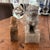 Pair of Stone Foo Dogs For Sale - Image 4 of 8