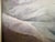 2020s Oil Painting - Jeanne Chesterton Signed For Sale - Image 5 of 9
