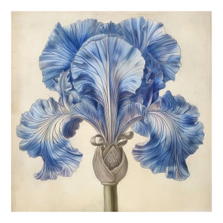 18" X 18" Romantic 'Blue and White Flower' - Watercolor & Pencil Print For Sale