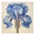 20" X 20" Romantic 'Blue Flower' - Watercolor & Pencil Print For Sale