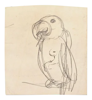 Parrot - Original Pencil on Paper by G. Galantara - Late 19th Century Late 19th Century