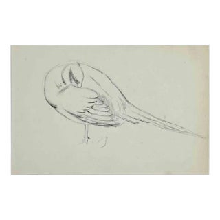 Eugène Juillerat, Sleeping Bird, Drawing, 1920 For Sale
