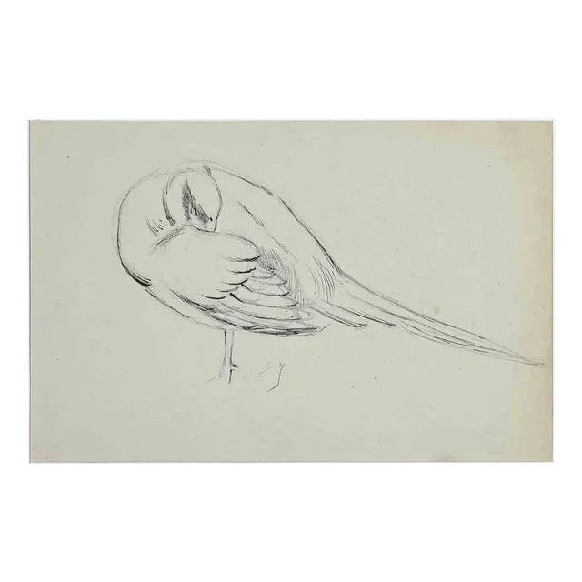 Eugène Juillerat, Sleeping Bird, Drawing, 1920 For Sale