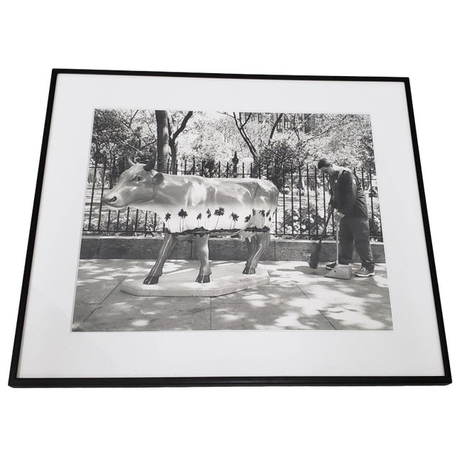 Leo Theinert (American) "Clean Sweep" Original Black and White Silver Gelatin Photograph 20th C. For Sale