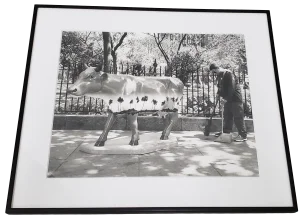 Leo Theinert (American) "Clean Sweep" Original Black and White Silver Gelatin Photograph 20th C.