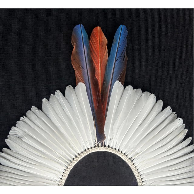 Tribal Brazilian Kayapó Wall Decor | Amazon Indigenous Feather Headdress 'Cocar' For Sale - Image 3 of 11