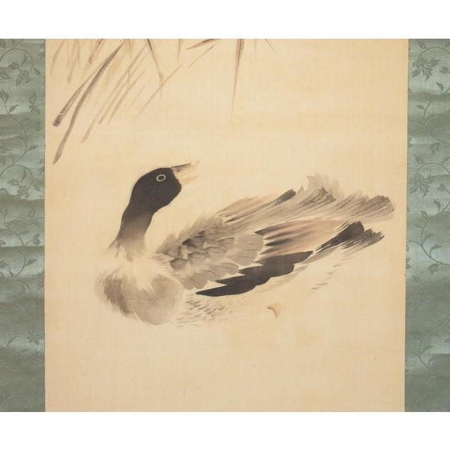 Japanese "Duck", Showa Era Japanese Monochrome Watercolor Scroll Painting For Sale - Image 3 of 14