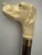 A handsome vintage walking stick/cane having a yellow Labrador as a handle. Head is bakelite, glass eyes and wooden shaft....