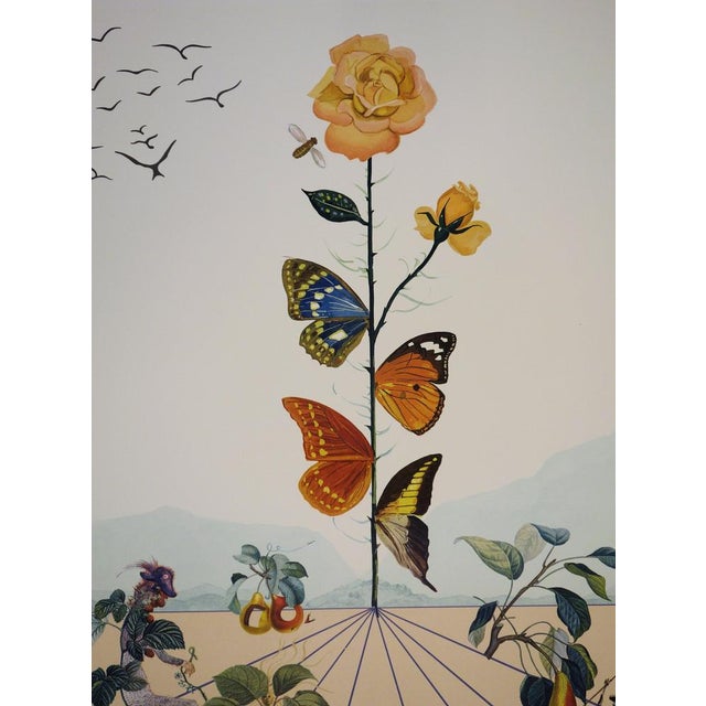 Salvador Dali, Flordali II, Lithograph For Sale - Image 3 of 7