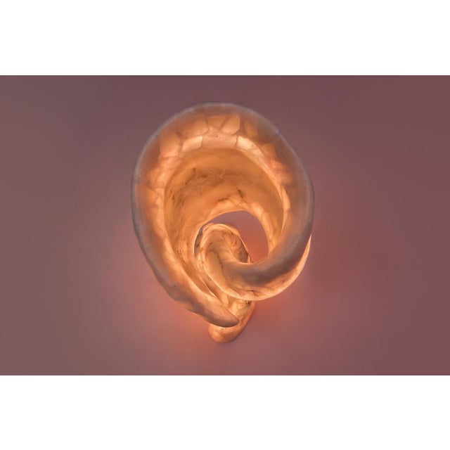 Aqua Fossil Sculptural Table Light in Alabaster and Resin by Amarist Studio For Sale - Image 9 of 14
