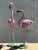 Vintage Coastal Cast Iron Flamingos - A Pair For Sale In West Palm - Image 6 of 8