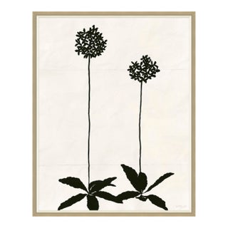 Allium (var. 2) by Susan Hable, Silver Frame For Sale