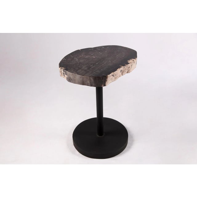 Living Edge Petrified Wood Top W Black Metal Stand Accent Table or Side Table 55 For Sale - Image 4 of 5