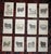 Authentic Antique 19th Century Sheep Stone Lithographs - Set of 12 For Sale - Image 9 of 9