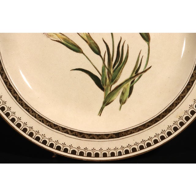 Green Wedgwood Creamware Botanical Specimen Plate With Pink Flowers and Brown Printed Border Dated 1862 For Sale - Image 8 of 11
