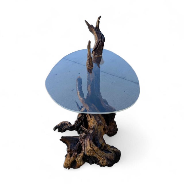 Vintage Organic Modern Driftwood Side Table With Acrylic Top, Mid-Century For Sale - Image 12 of 18