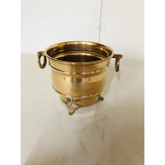 Polished footed brass cachepot with round knocker handles. Measures 6” Diameter x 5.75”H.