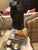 Wood Hand Carved Wood & Stone Horse Sculpture For Sale - Image 7 of 8