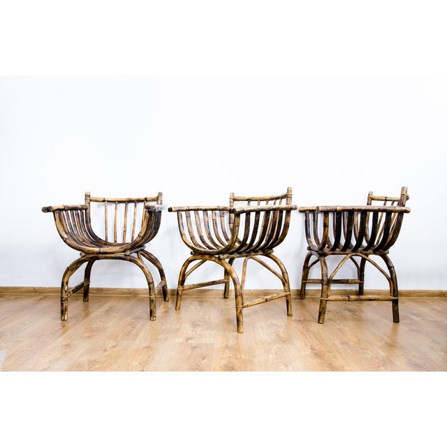 Art Deco Rattan Armchairs, Set of 3 For Sale - Image 10 of 18