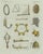 Bertuch, Ancient Greek and Roman Musical Instruments, 1802, Engraving For Sale - Image 3 of 10