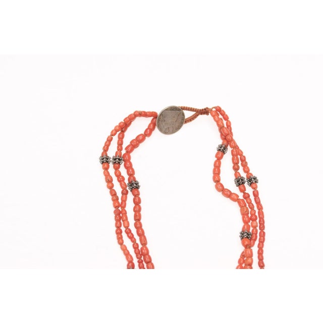 Moroccan Three Strand Antique Coral Necklace For Sale - Image 3 of 13