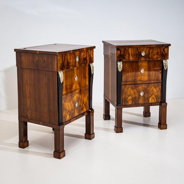 Traditional Pair of Empire Bedside Cabinets, Italy, Early 19th Century For Sale - Image 3 of 8