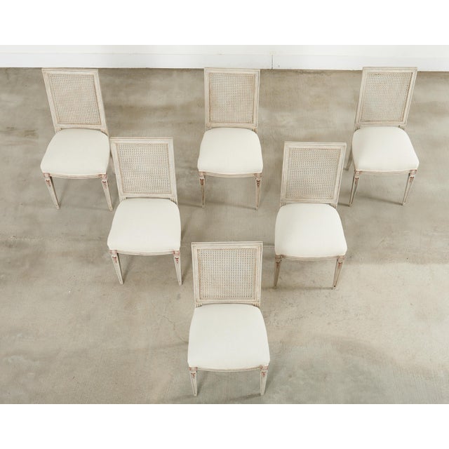 French Set of Six Swedish Gustavian Style Painted Cane Dining Chairs For Sale - Image 3 of 12