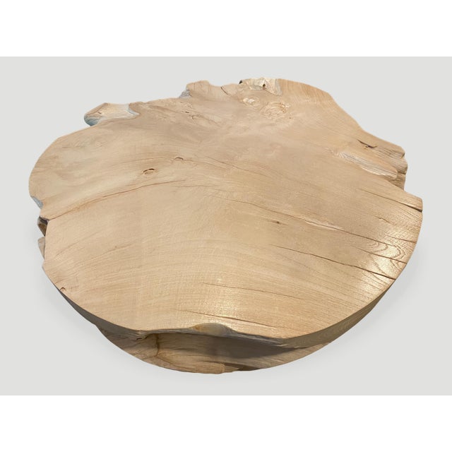 Andrianna Shamaris Impressive Bleached Teak Wood Coffee Table For Sale - Image 17 of 18