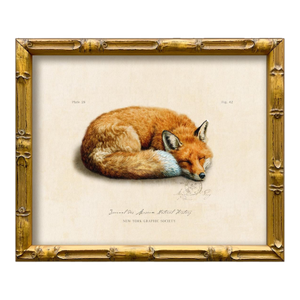 Reproduction Vintage "Garden Friends" Art Print (9), Framed Fox