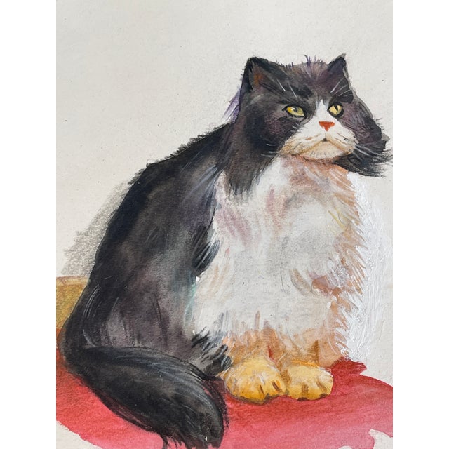 Paper 1960s Gorgeous Original Art Cat Pictures - Set of 6 For Sale - Image 7 of 7