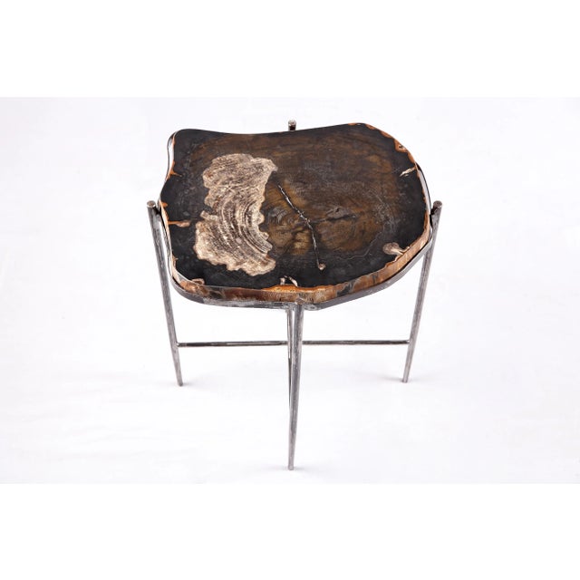 The top of this modern accent side table is made of one slice of organic petrified wood, hand polished to show its...