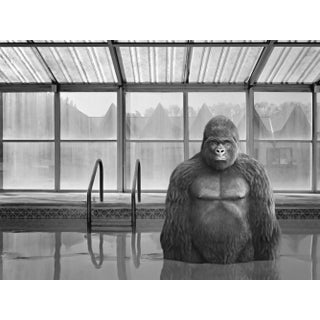 Mr Strange, Aquatic Games, 2022, Giclée Print For Sale