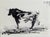 Pablo Picasso, Bull, 1961, Lithograph For Sale - Image 9 of 9